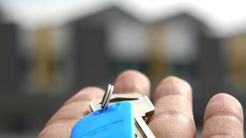 Sp Sales Lettings Grid