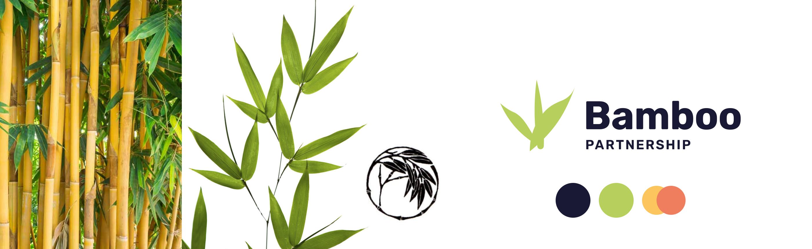 Bamboo Partnership Logo Stylescapes