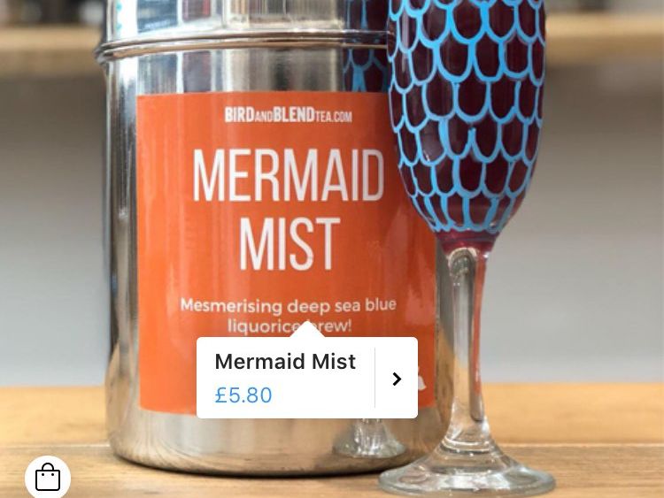 Article Image Single Bird And Blend