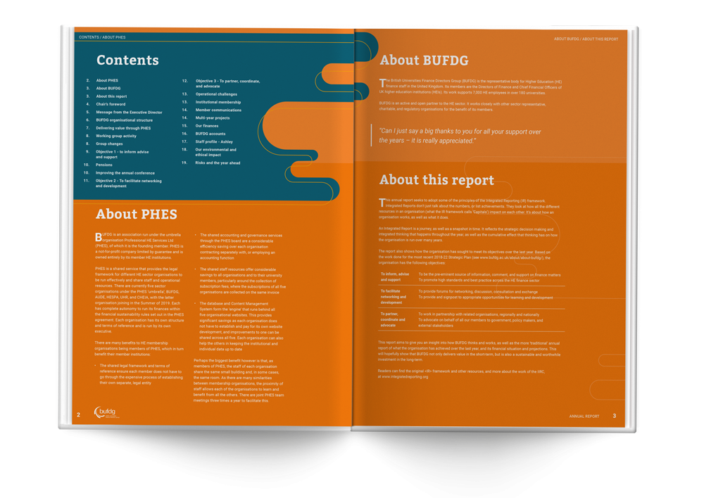 Bufdg Annual Report Layout