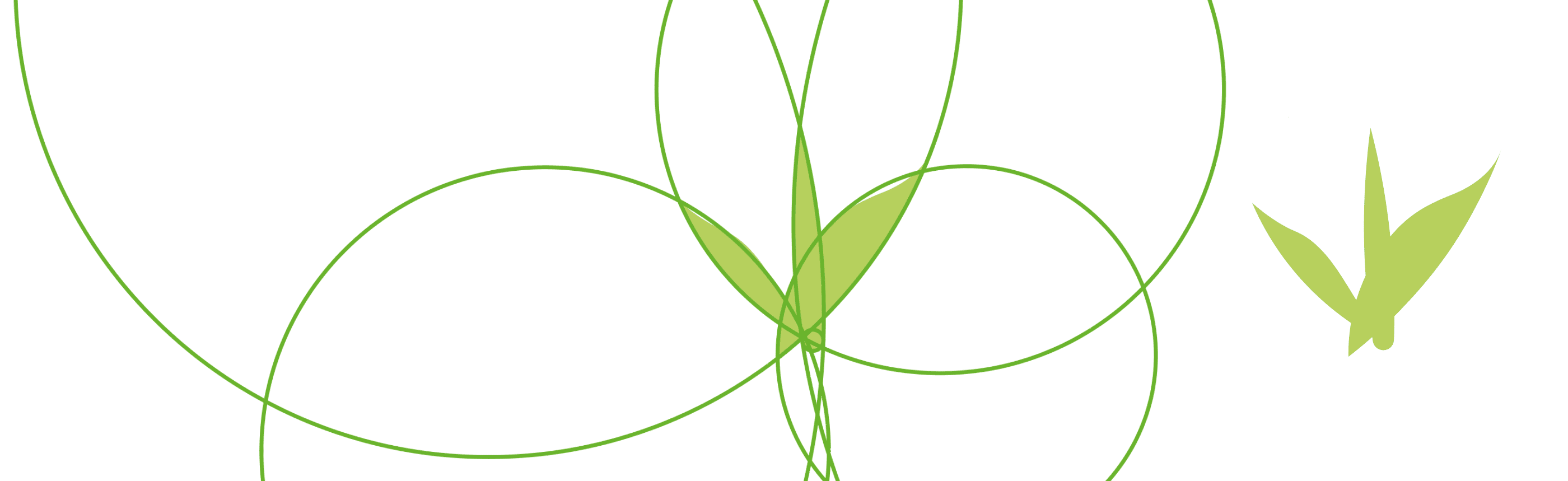 Bamboo Partnership Logo Geometry